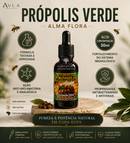 Extrato de Própolis Verde Premium Alma Flora 30ml para fortalecimento da imunidade natural | Avla Wellness - Produto Original