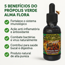 Extrato de Própolis Verde 30ml | Alma Flora | Alta Potência para Blindar Sua Saúde e imunidade.